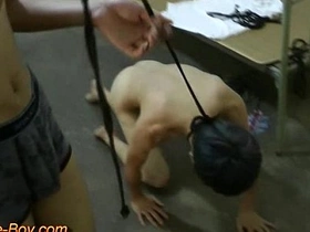 Young gay slave boy gets trained in doggy style bondage