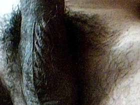 Uncut cock of an Indian man with smegma and pubic hair